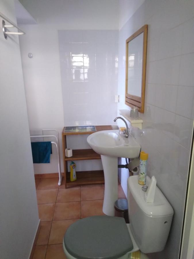 Studio Aux Avirons Pour 2 Personnes, Avec Piscine Les Avirons 외부 사진
